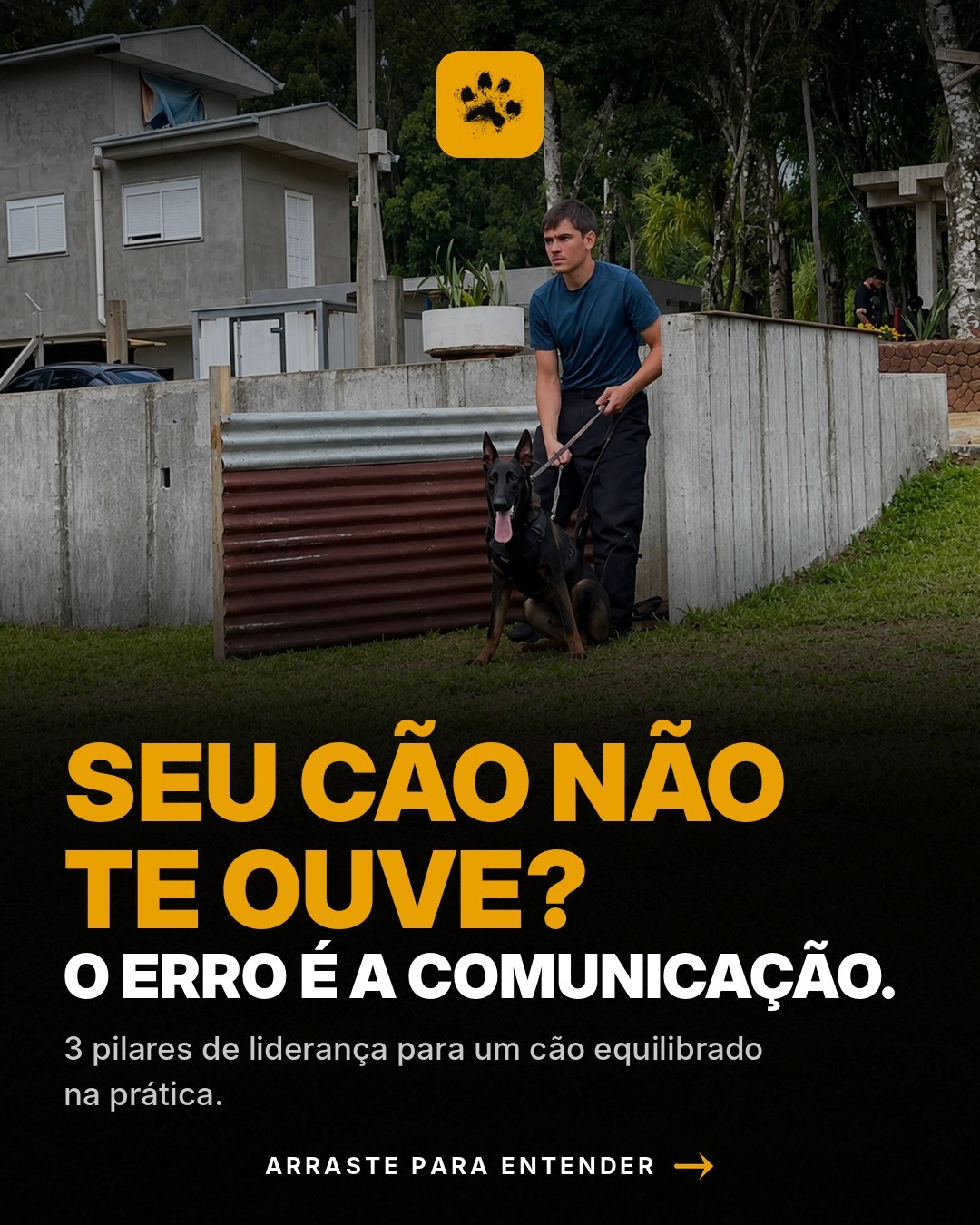 Capa: Seu cão não te ouve? — Ruf Ruf Adestramento